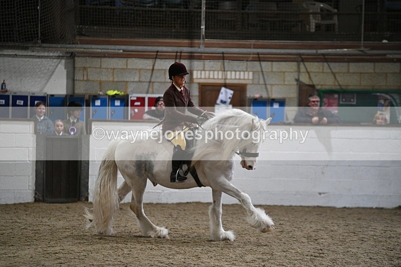 WJ7_4217 - Class 17 Ridden Cob