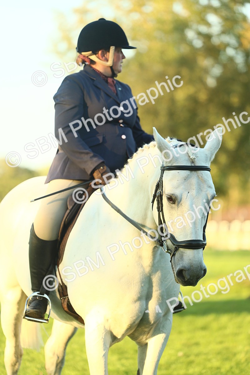 SBM_56513 - S14 - Riding Club Horse