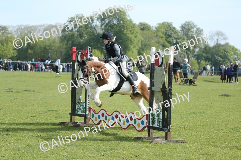 20260426-0196 - Class 13 - Rookie Jumping 50cm