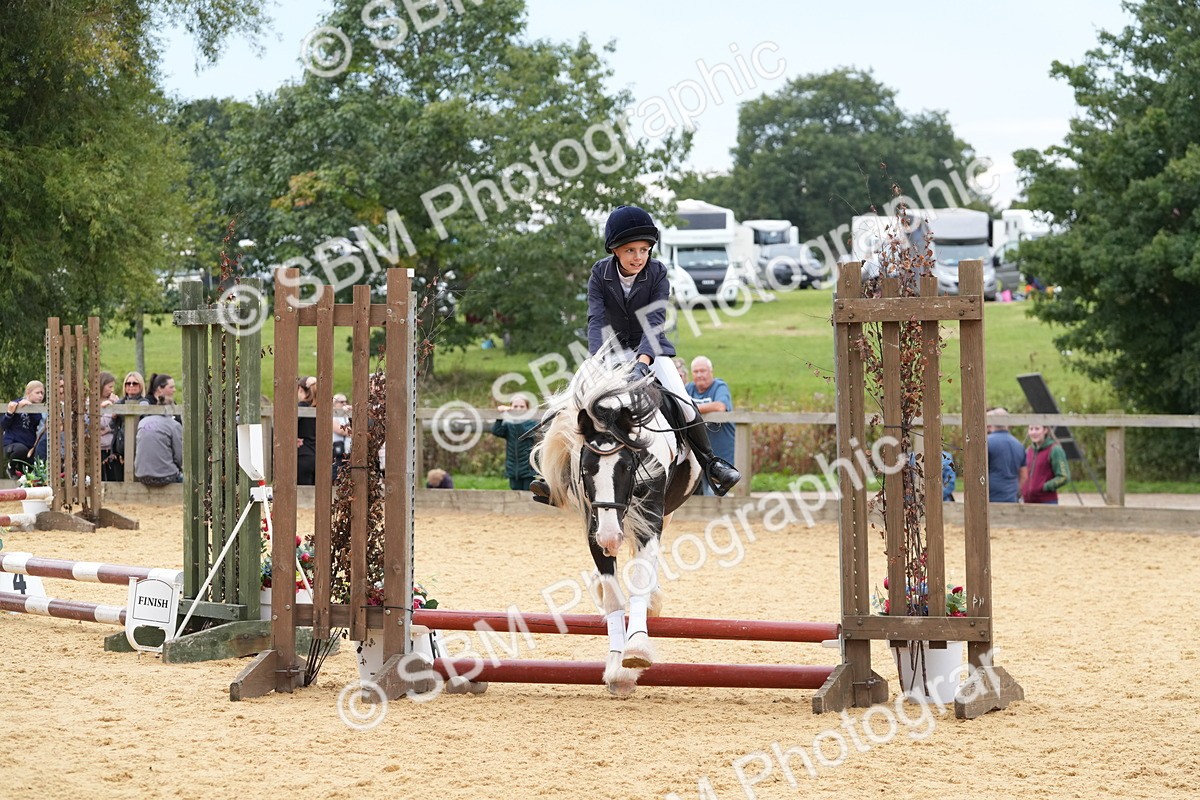 SBM_71721 - J3 - Mini Tour Junior Pony 40cm Championship