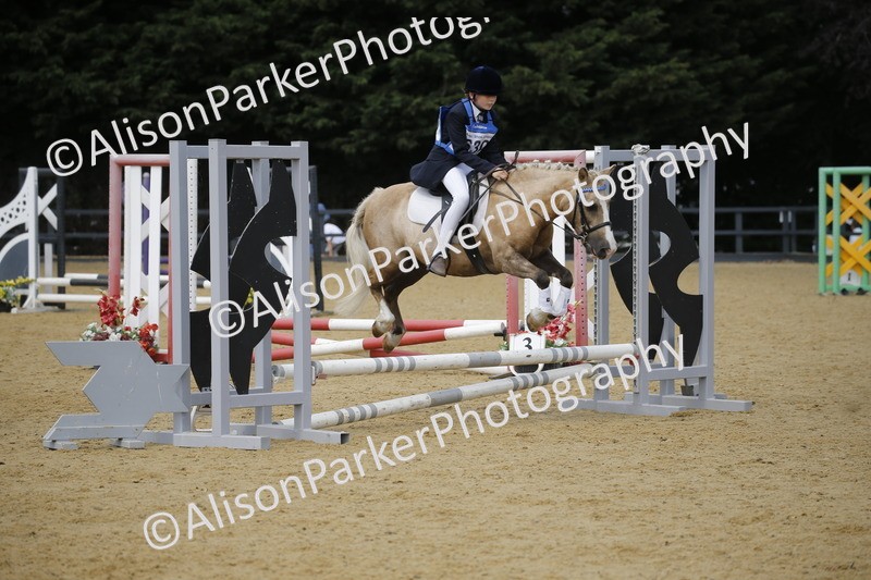 20250622-3936 - 50cm