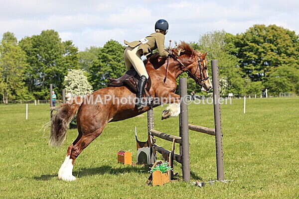 IMG_4337 - Working Hunter