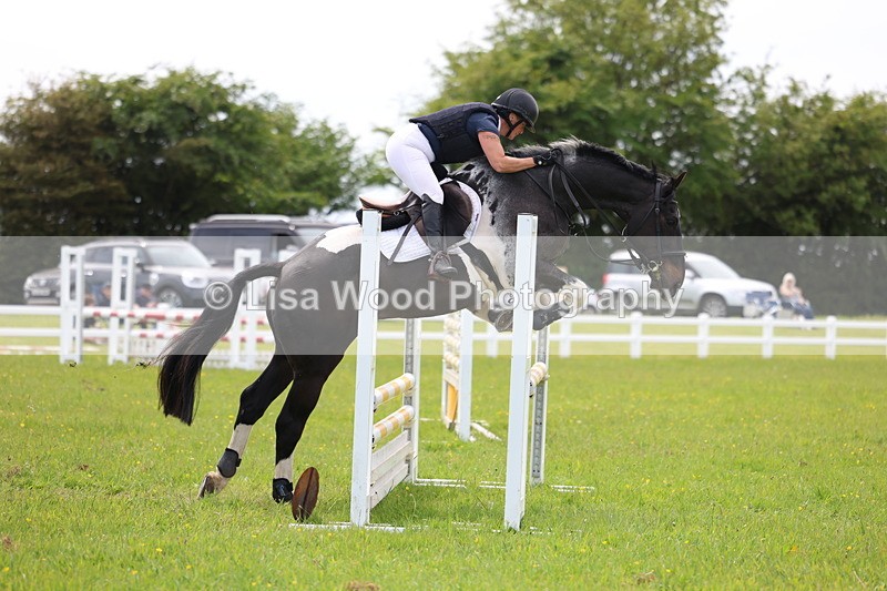 3E7A1547 - Class 13: Senior British Novice/90cm open