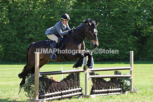 IMG_4780 - Working Hunter