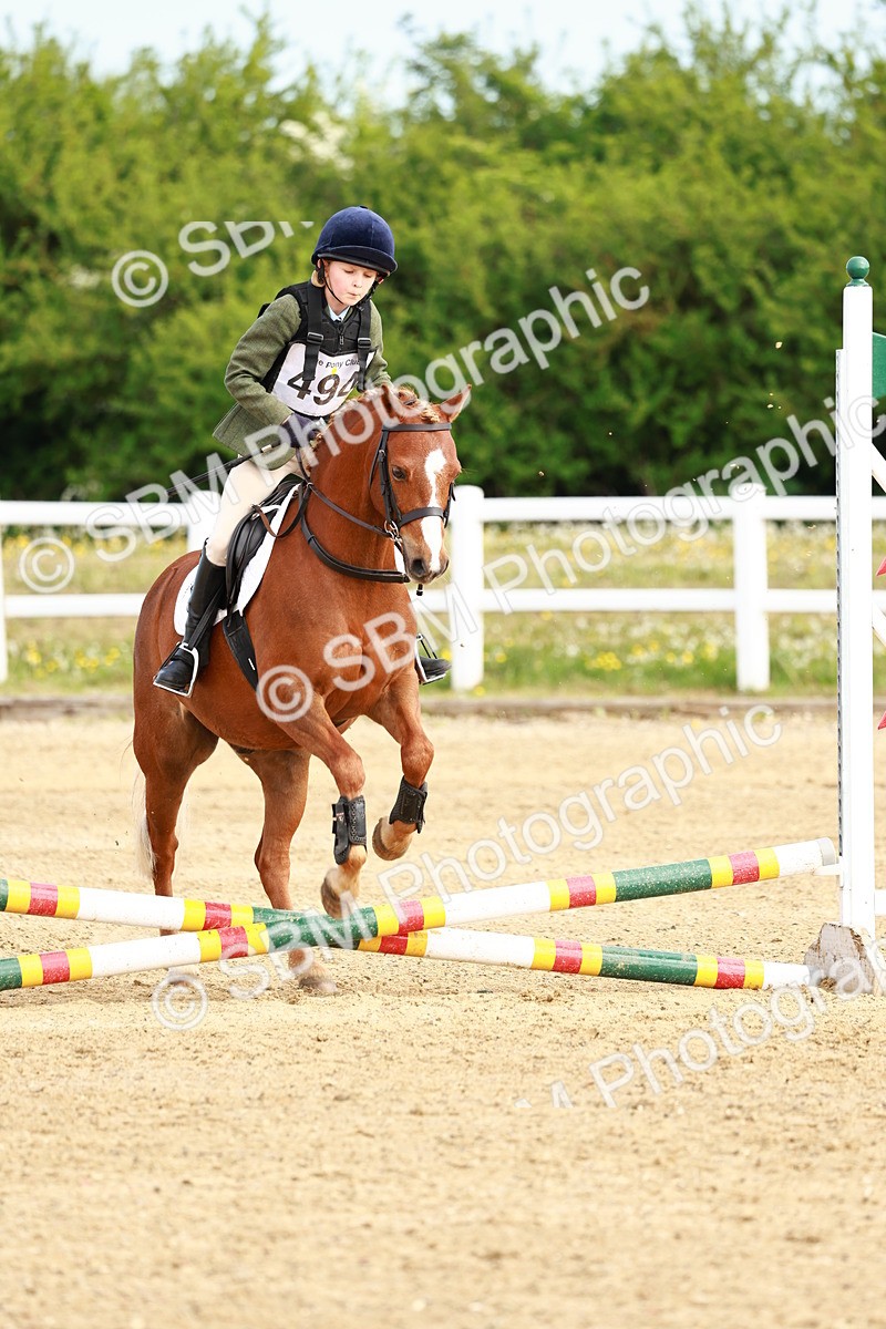 SBM_006548 - Class 1 - 40cm