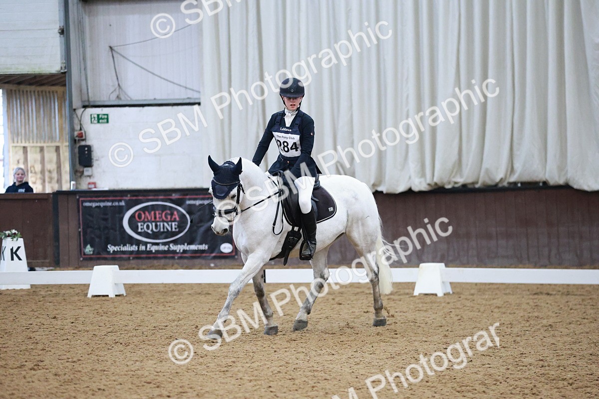 SBM_004583 - Ring 3 - International -  Working Hunter Classes 23-2-25