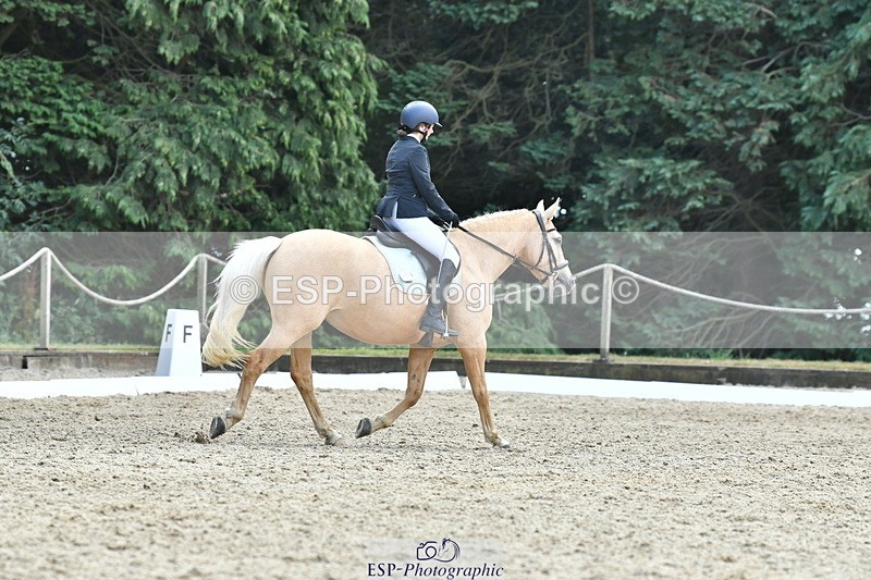 260801A-123439-03992 - Prelim Bronze Break - End