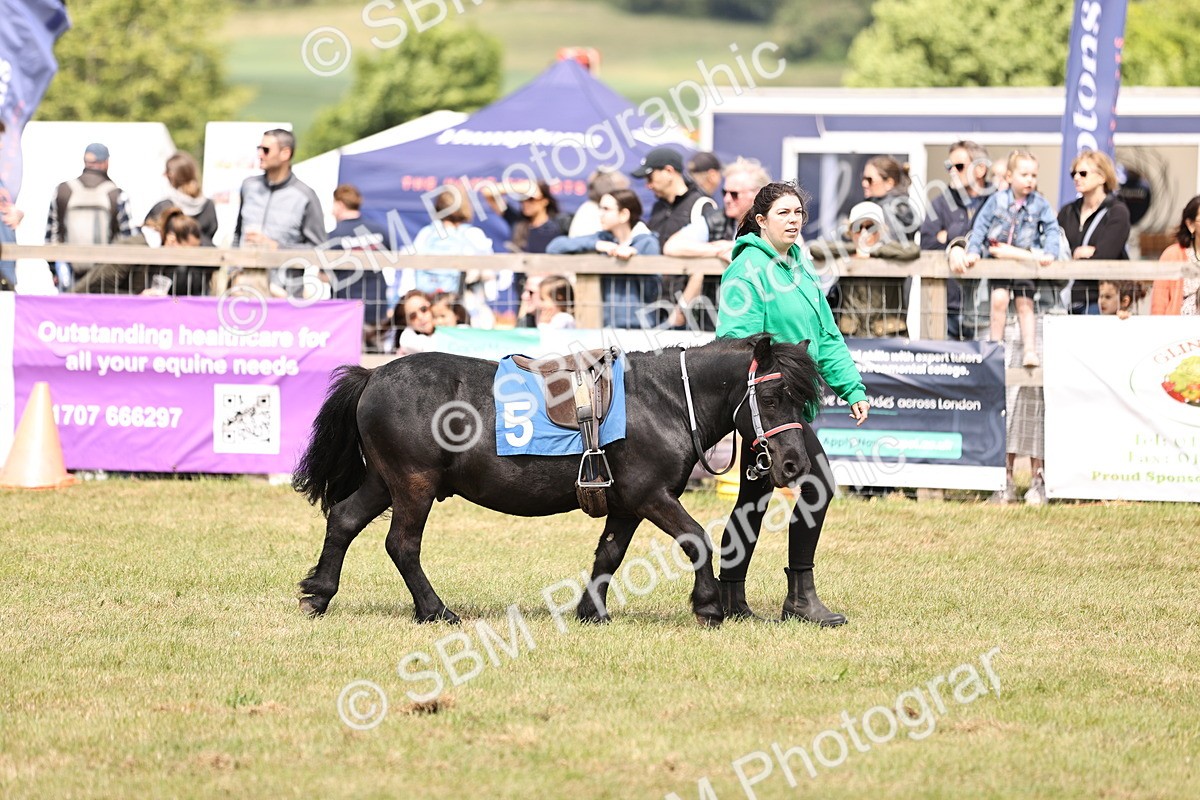 SBM_16395 - Dinky Derby