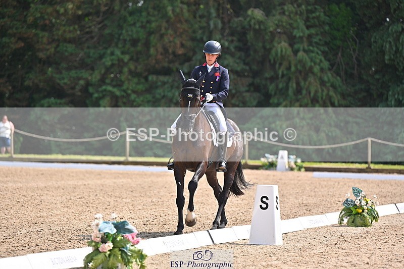 250523A-145840-07414 - B-365-Tom.McEwen-MAESTRO