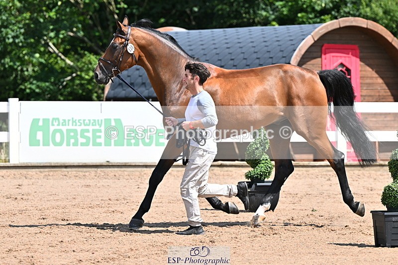 240718A-105239-00976 - Trot Up 11am to 12pm