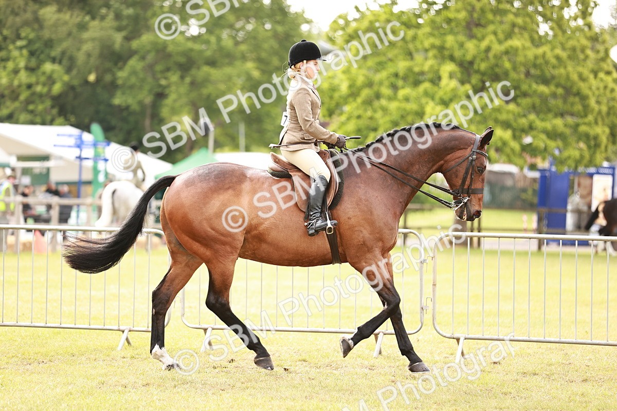 SBM_10851 - Class 81-84 - RIHS Ridden hunters Inc Ladies Hunter