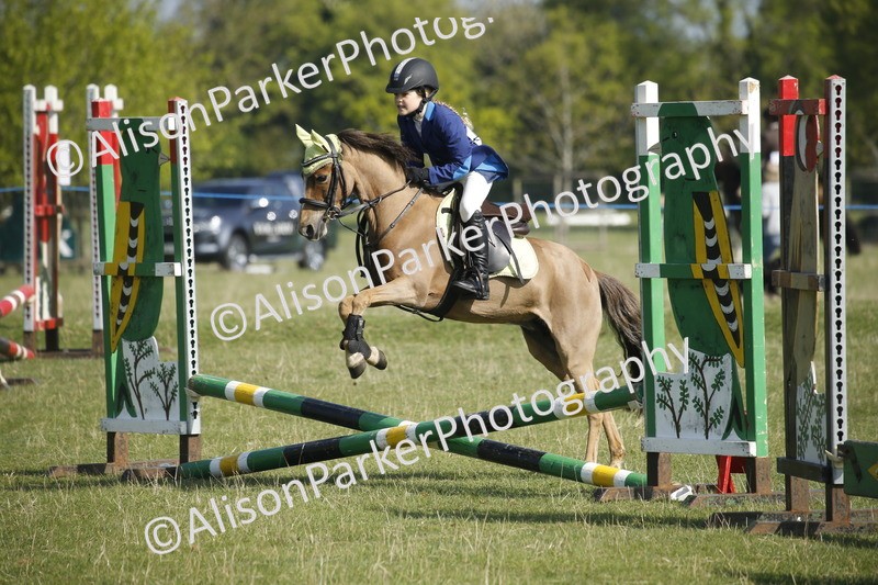 20250427-0359 - Class 12 - Rookie Jumping 40cm