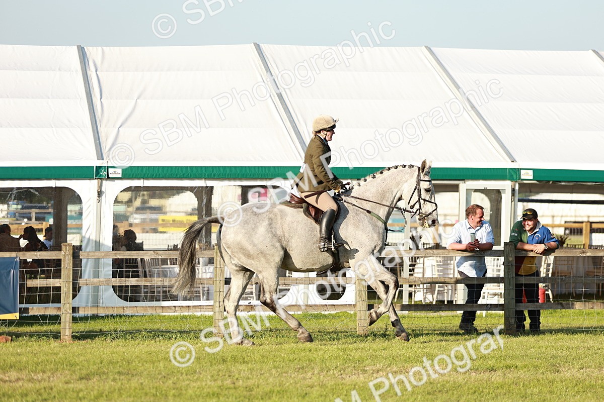 SBM_20469 - Class 117-119 - Sport Horse Working Hunter