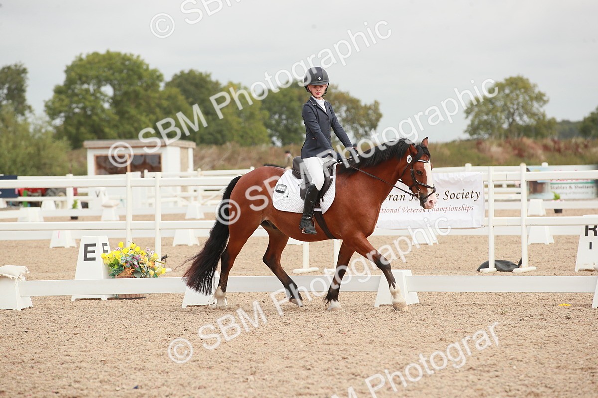 SBM_02706 - Class 30 - Intro 1