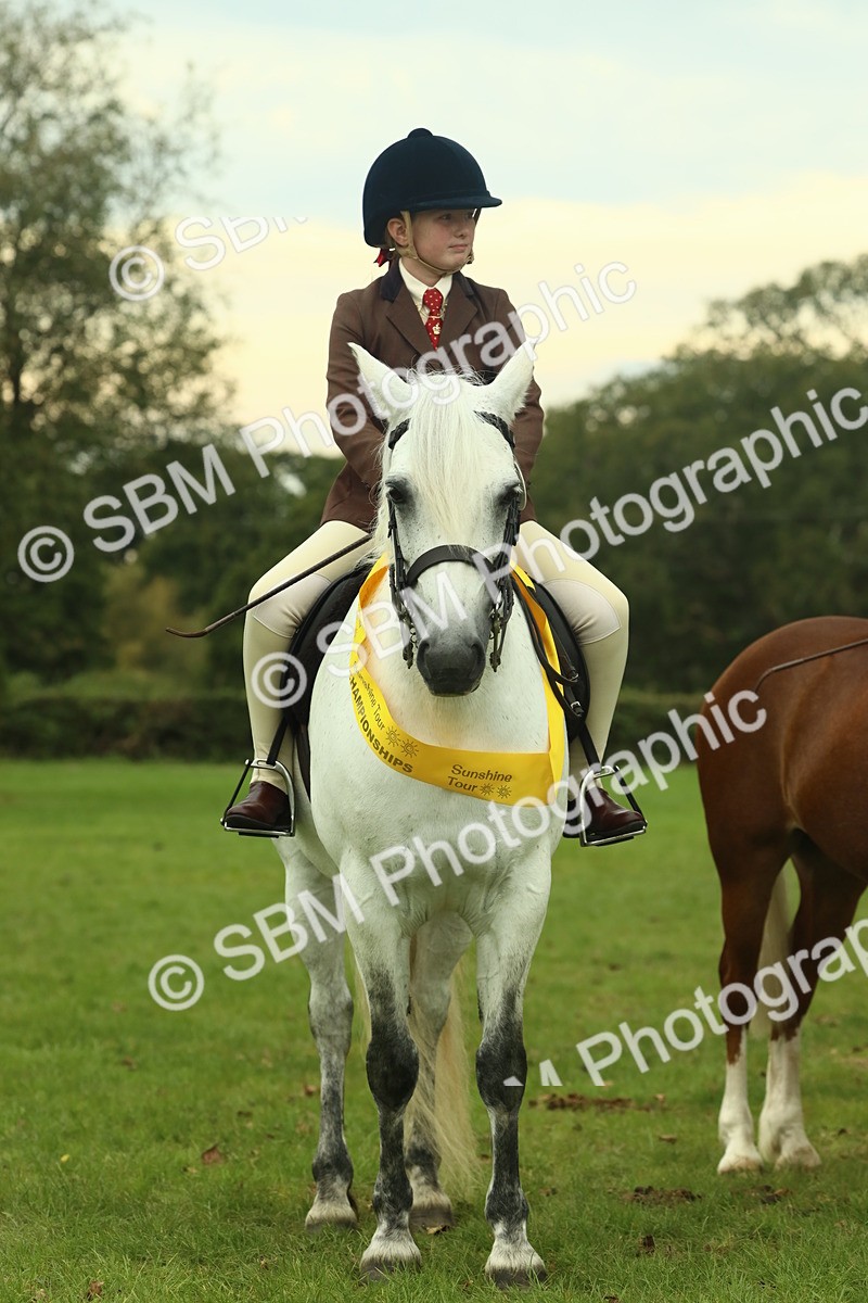 SBM_72315 - S60 - Mountain & Moorland Ridden Large Breeds