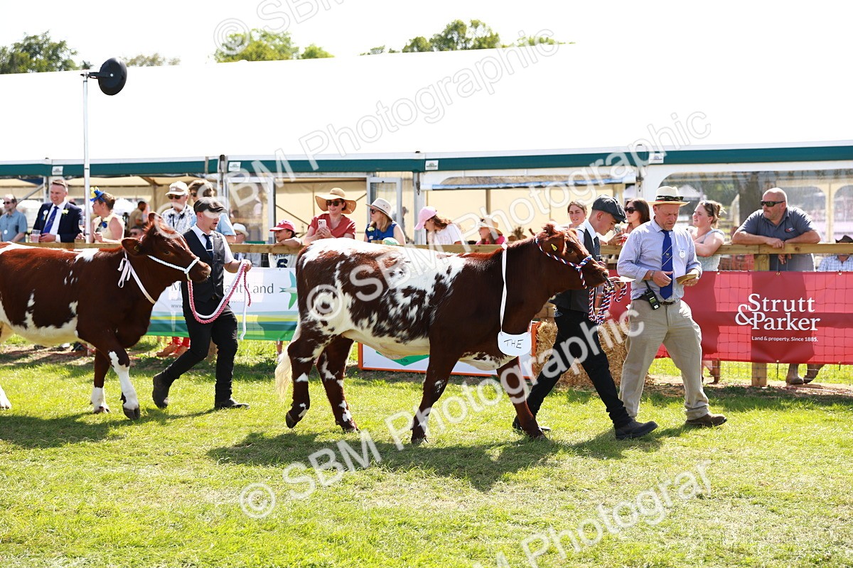 SBM_08416 - Grand Parade