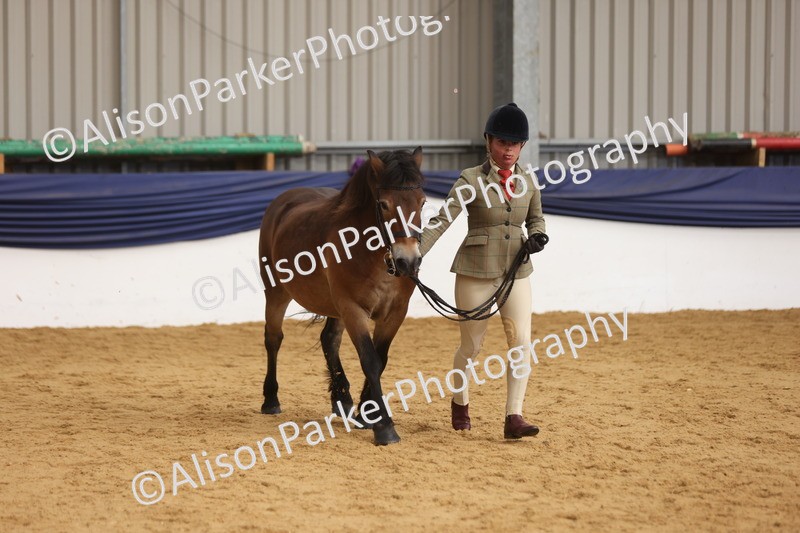 20260913-1724 - Class 115 - Gelding 4years and over