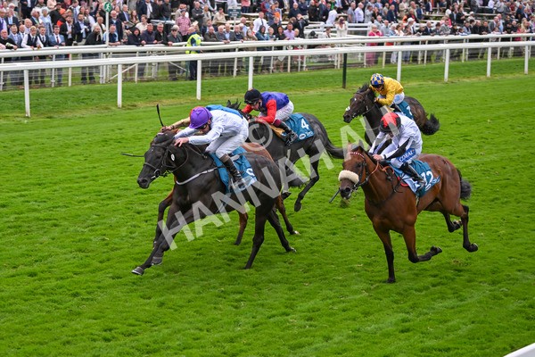 210824-Race 7-Yes Im Mali-5765 - Race 7 5.20pm Sky Bet Nursery Handicap