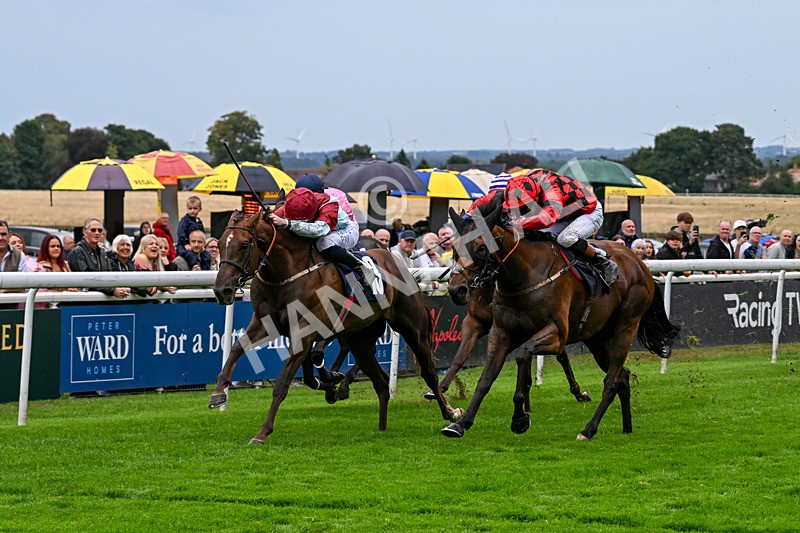 290826-Race 5-Supreme Clarets-7391 - Race 5 4.10pm Churchill Tyres Handicap