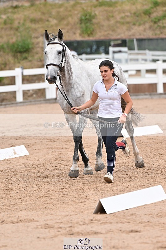 250716-143225-01179 - Trot Up 2.30 to 3.30