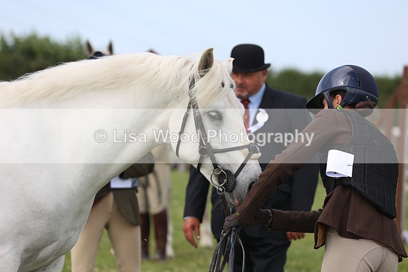 JPP_3917 - Class 23: Working Hunter 80cm