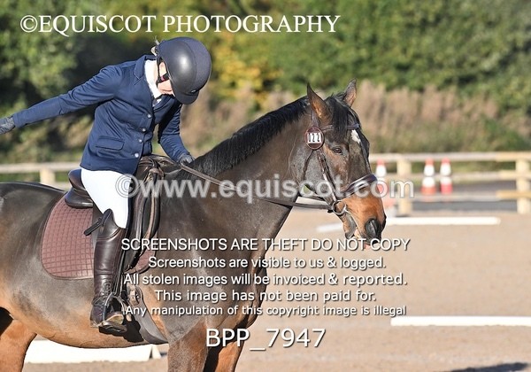 BPP_7947 - LONG ARENA