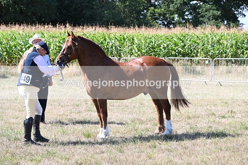 WJ6_4828 - Class 17 Mountain & Moorland