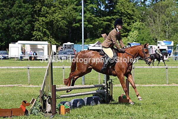 IMG_3792 - Working Hunter