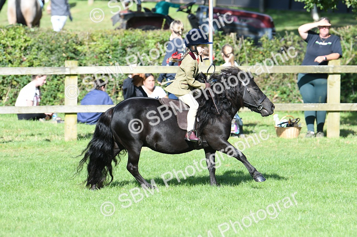 SBM_50323 - S21 - Novice & Newcomers 1st Ridden Pony