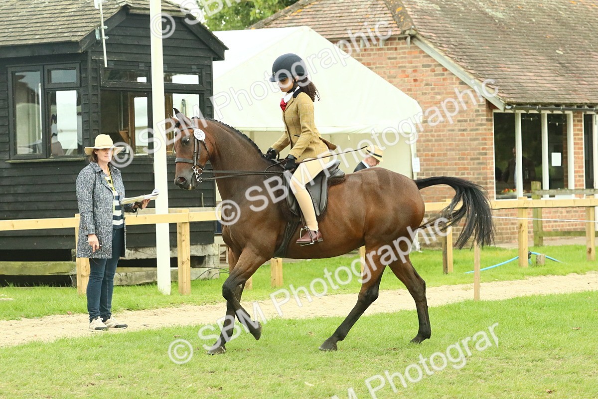 SBM_74080 - S 61 - Show Pony & Show Hunter Pony Ridden