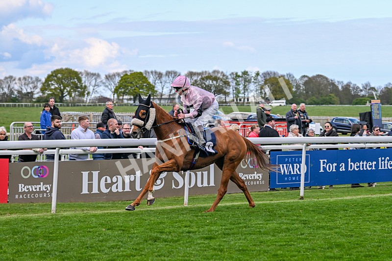 240425-Race 5-Two B Tanned-1556 - Race 5