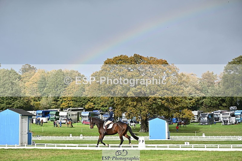 251024A-134839-12245 - D-366-Blythe.Jopling