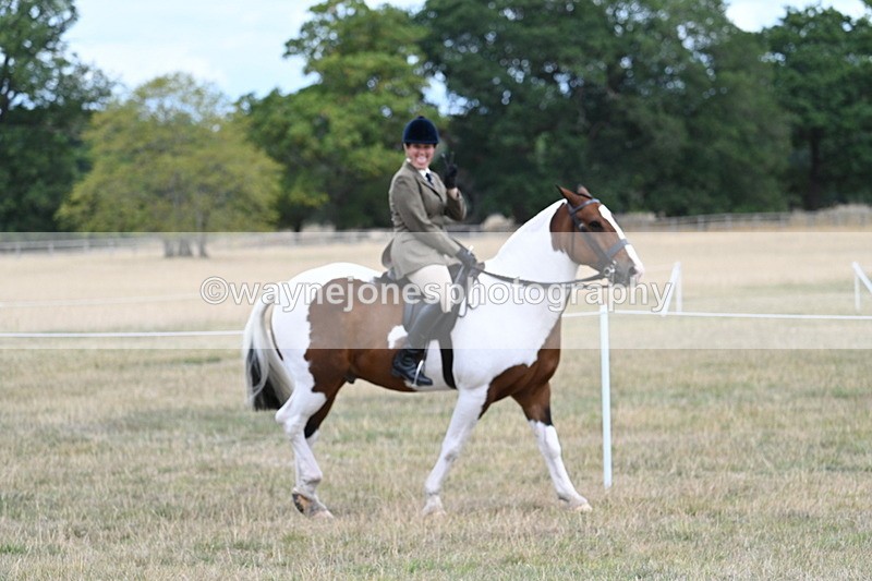 WJ7_4711 - Class 12 Ridden Cob