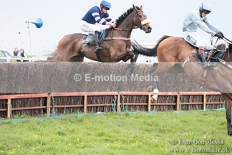 PtP 210418 368 - South & West Wilts Point-to-Point Larkhill 21/04/18