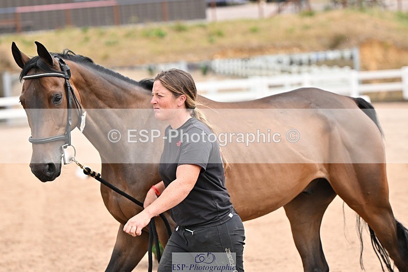 250716-151025-01721 - Trot Up 2.30 to 3.30