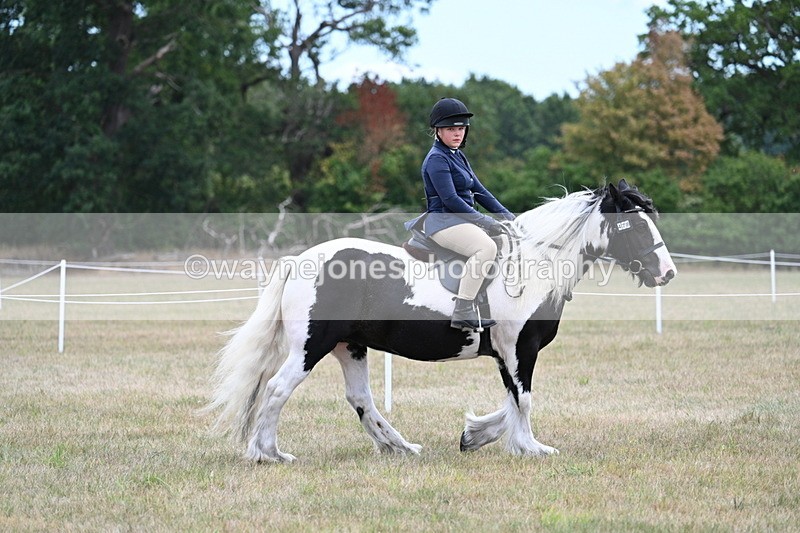 WJ7_4701 - Class 12 Ridden Cob
