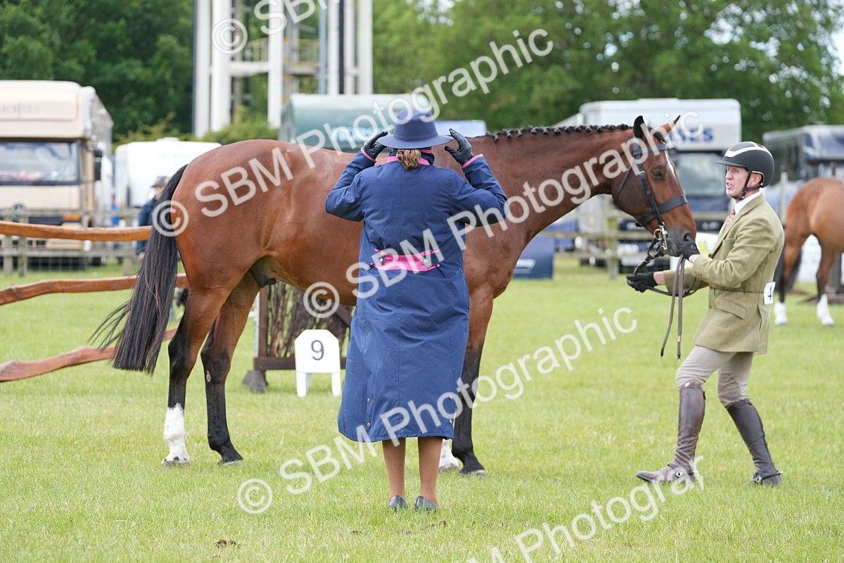 SBM_15040 - Class 100-102 - RIHS Working Hunter