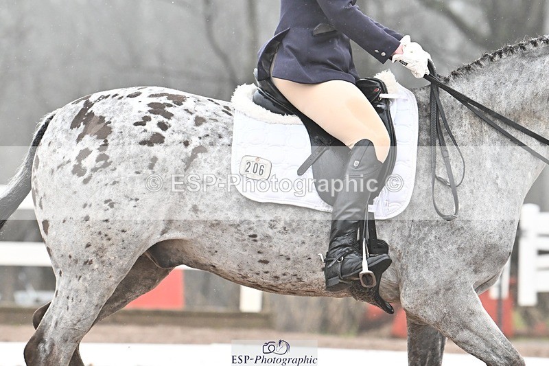 250215-103820-03068 - 206-Kelly.Raymont-Llanthony.Erehwon