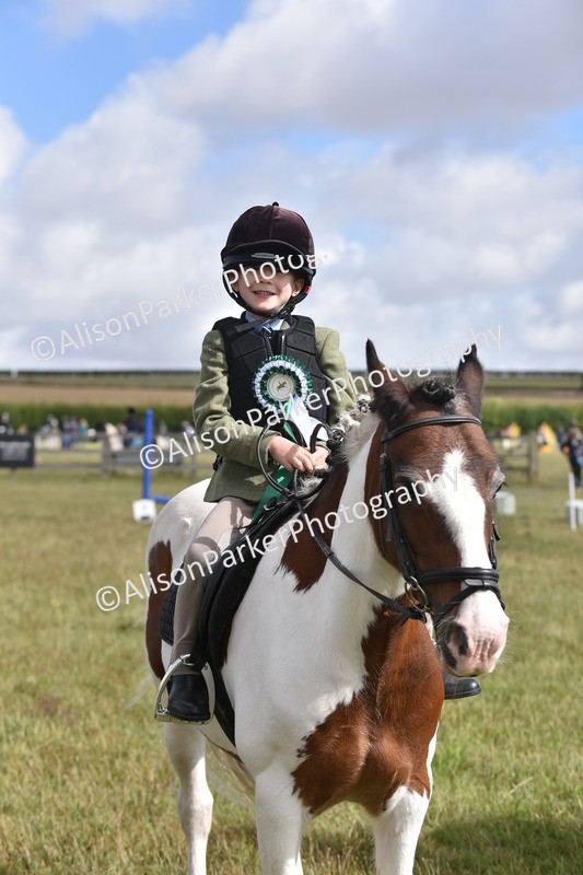 20250831-0507 - Class 7 - Absolute Novice 35cm