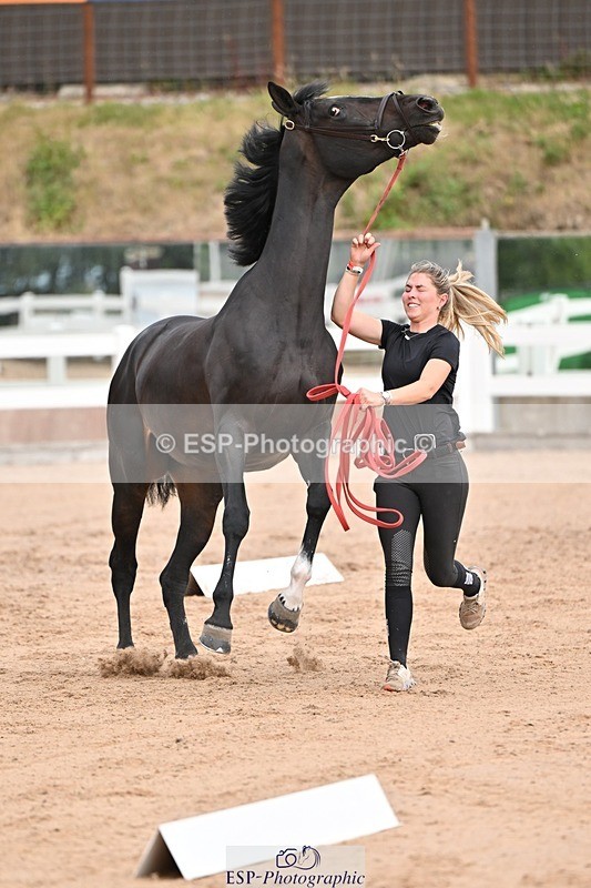 250716-151411-01799 - Trot Up 2.30 to 3.30