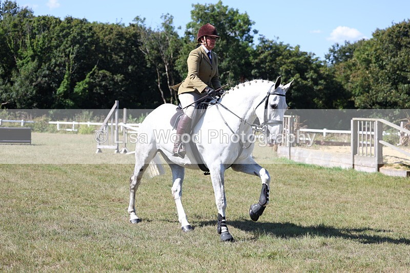 3E7A6236 - Class 6: Working Hunter 1m