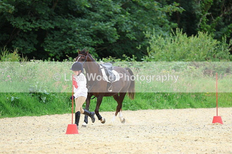 3E7A9443 - Walk trot run