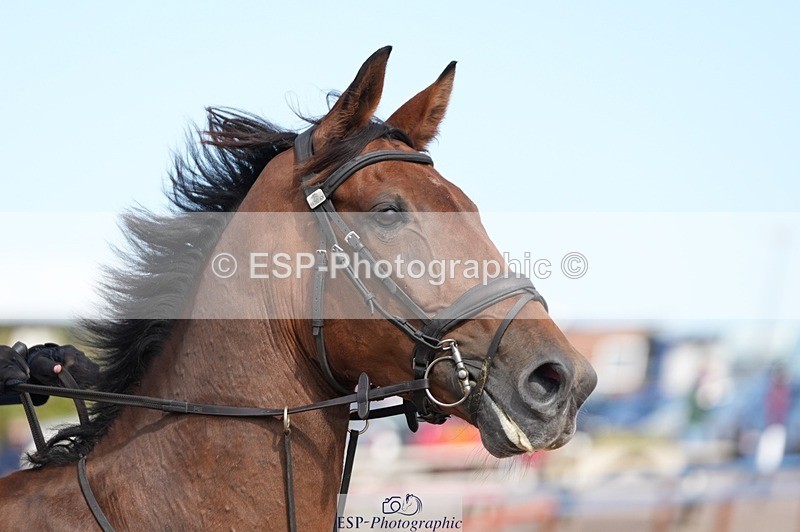 250911-141231-02214 - Cls 13 1.05m Amateur Champ