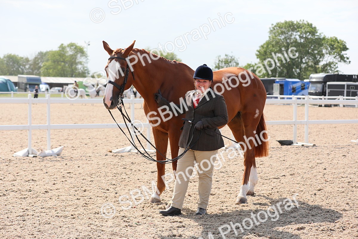 SBM_15779 - Class 312 IH Competition Horse/Pony