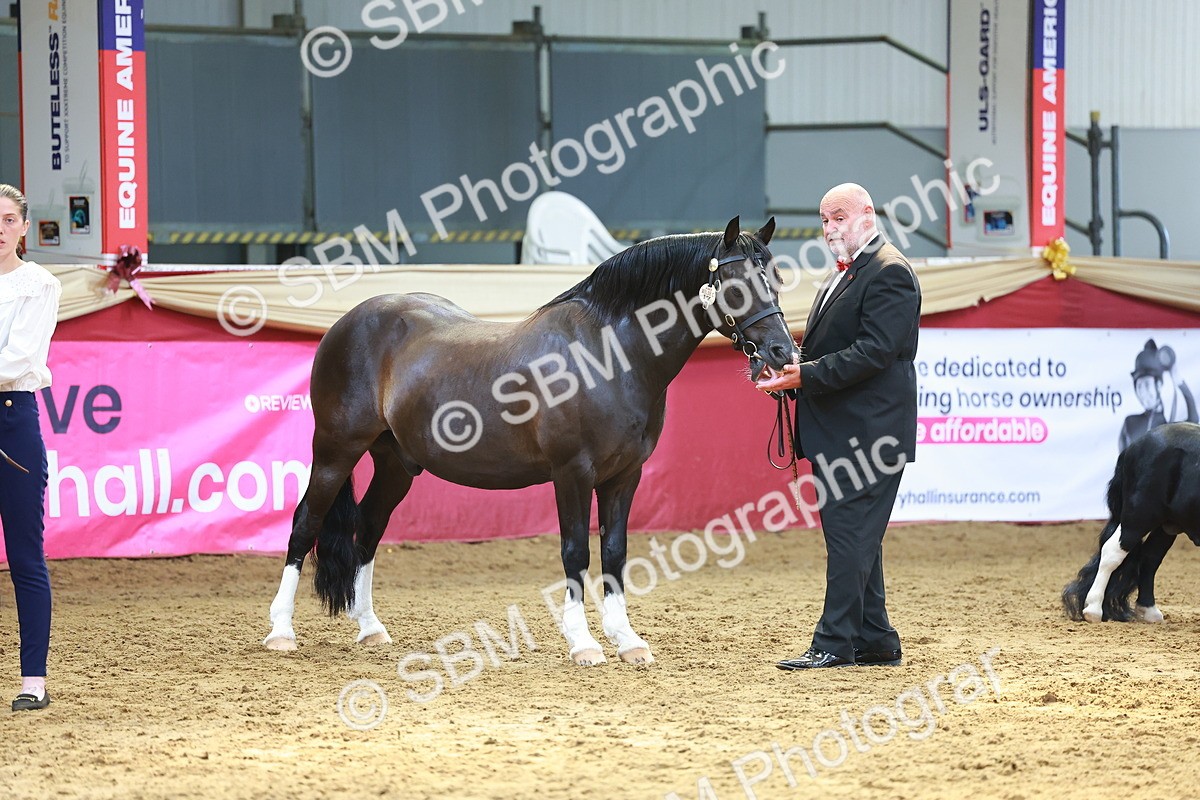 SBM_18649 - Class 903 - Sup Final - IH Pre Vet