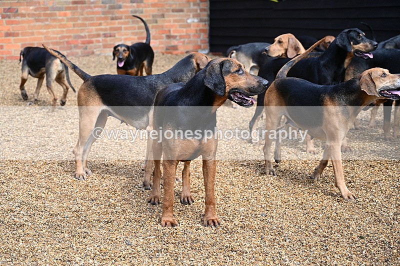 WJ7_7035 - Berks & Bucks at Blandy’s Farm 31-08-25