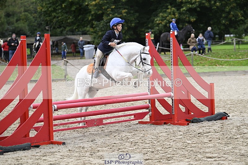 251005A-120735-03612 - Cls 08 Mini 70-75cm