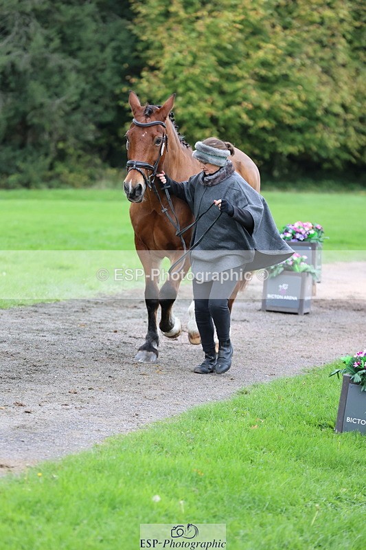 251026A-110013-23441 - G-575-Victoria.Woodland