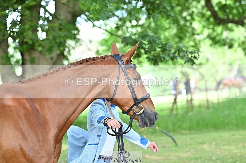 250521A-165915-01453 - C-276-Sammi.Birch-ROSAS.PARTY