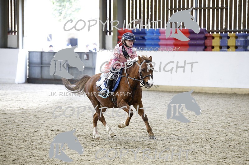 _T0A1041 - Mini Pairs